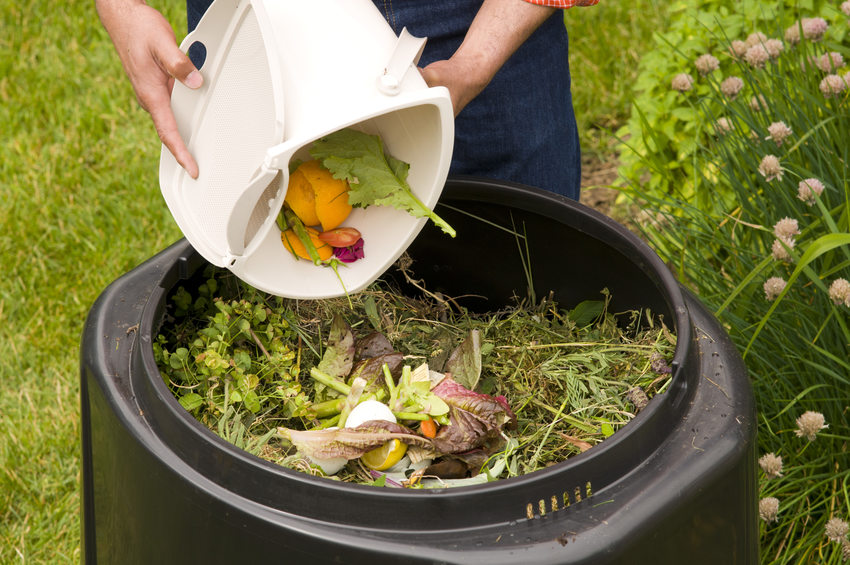 Why Is Composting Important?