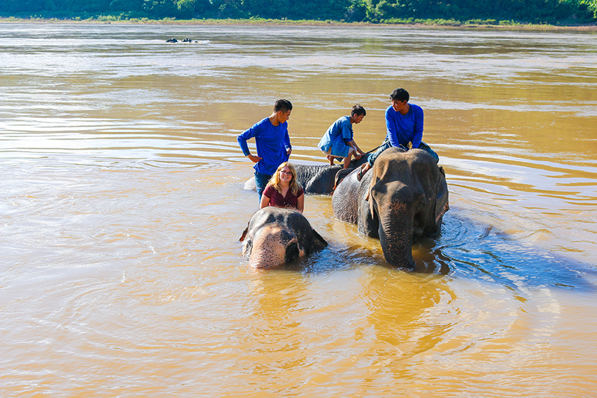 Luang Prabang Elephant Camp