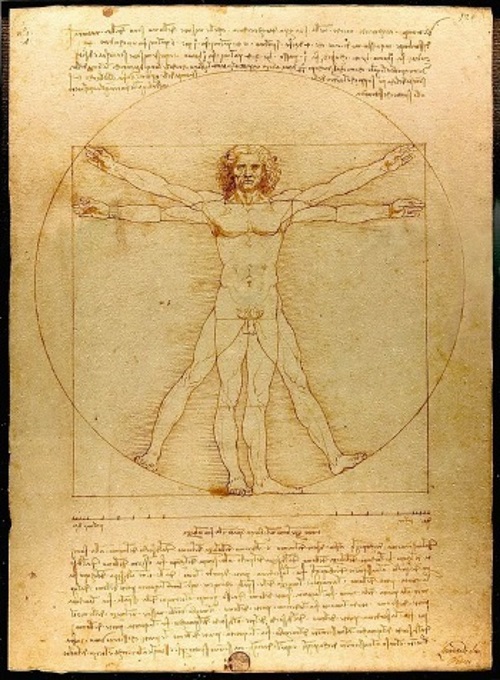 Se você conhece o autor desta imagem, por favor nos informe para que possamos atribuir-lhe os devidos créditos. Obrigado. Homem vitruviano, Leonardo Davinci.