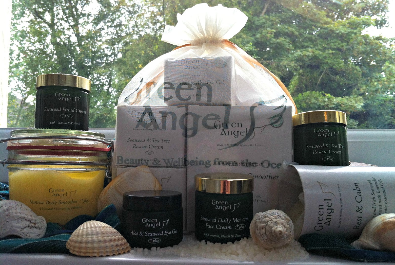 DancingWithDisaster Green Angel Ireland