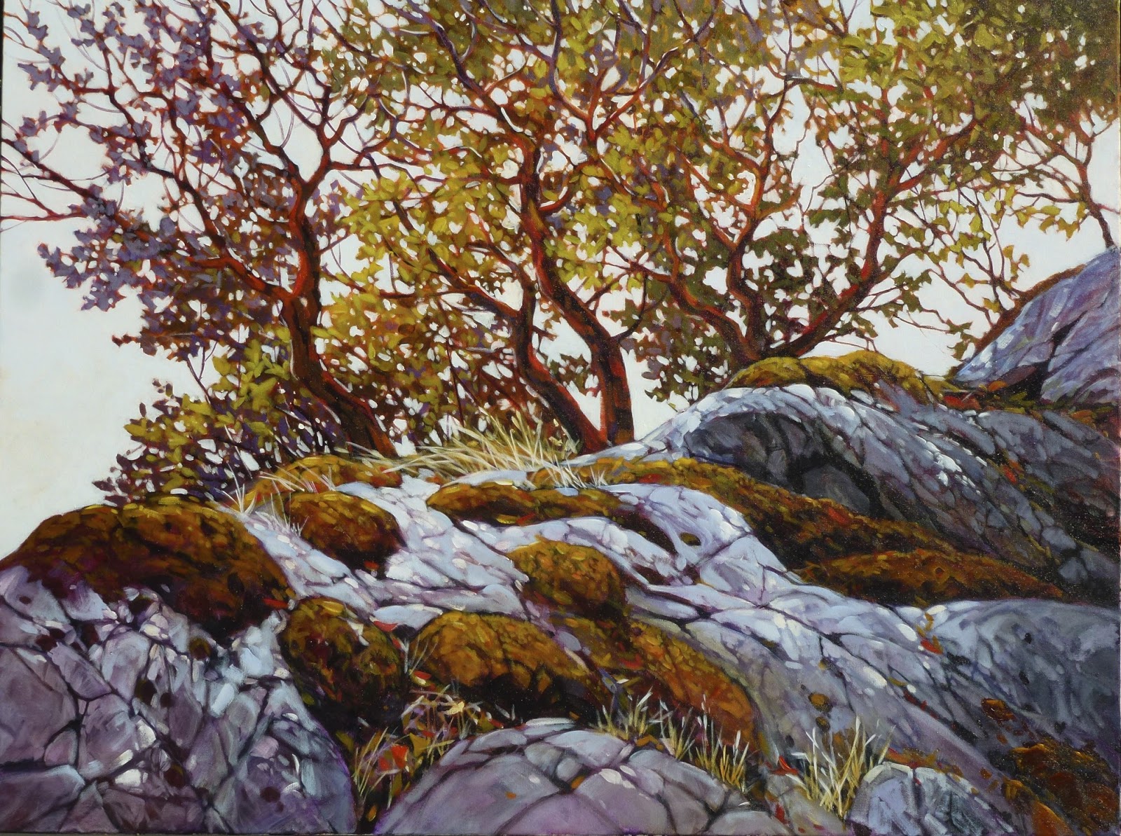 Janice Robertson's art More Arbutus trees