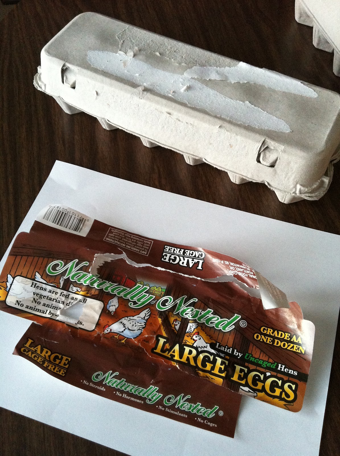 The Contemplative Creative: Egg Carton Snack Box1195 x 1600