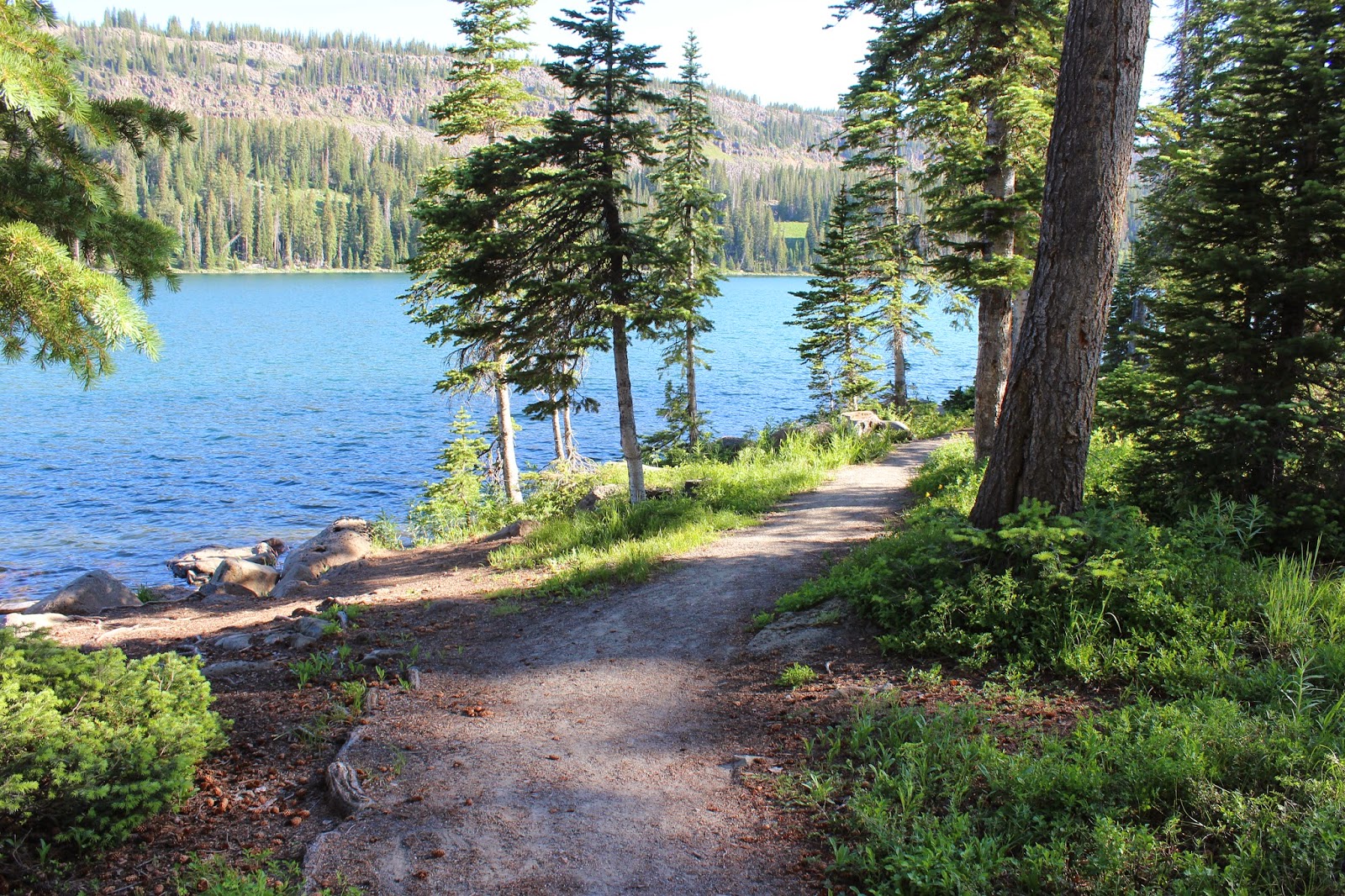 Island Lake Grand Mesa Colorado