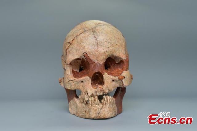 16,000-year-old fossil human skull found in south China cave site
