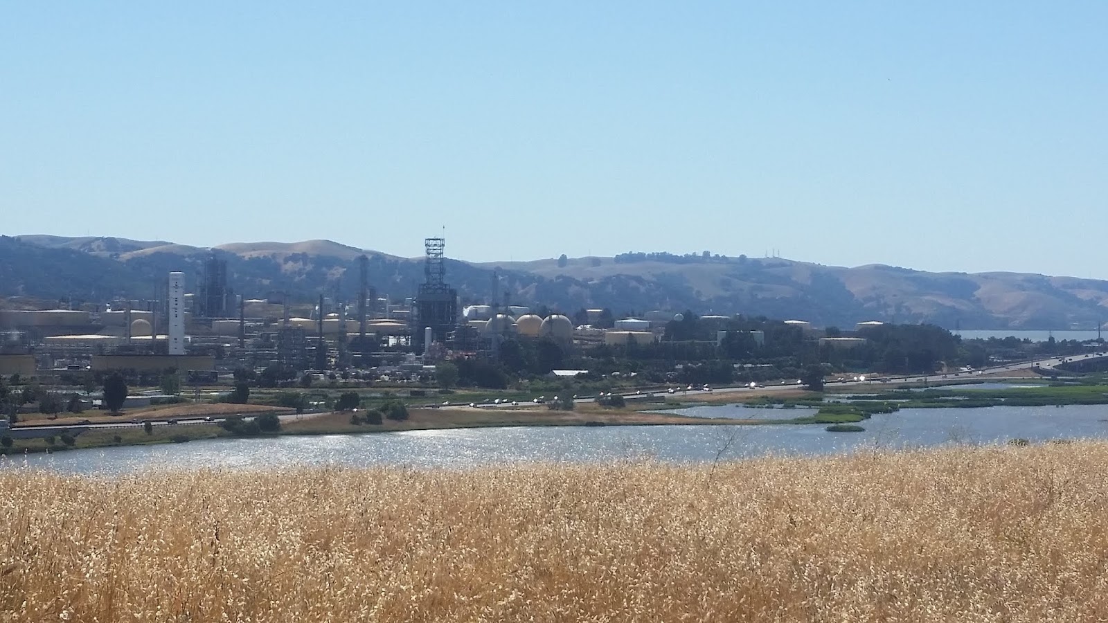 Waterbird Regional Preserve Meadowlark Ridge Loop