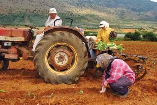 ΣΥΖΗΤΗΣΗ  ΓΙΑ ΥΠΑΙΘΡΙΕΣ ΚΑΛΛΙΕΡΓΕΙΕΣ