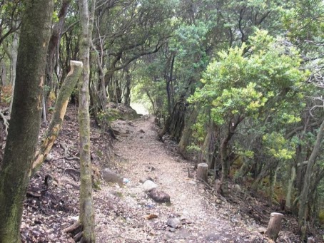 Jalur Pendakian Gunung Patuha