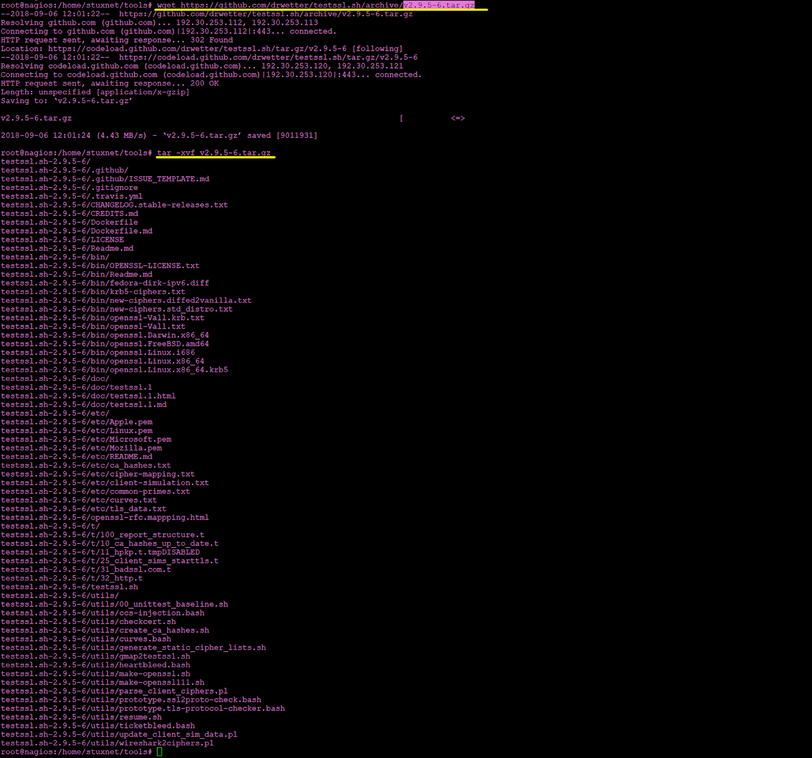 Analizando la seguridad de SSL/TLS con testssl.sh