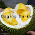 Pabrik Daging Durian Medan Harum di Aceh Tengah