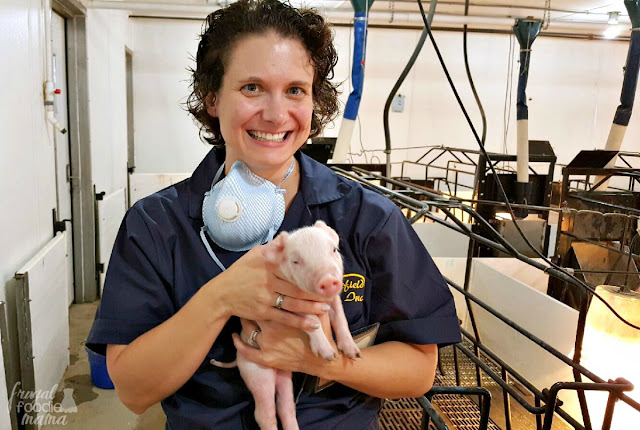 From the farm to your dinner table, here is a peek into what goes into real pig farming in the United States.