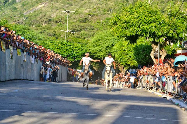 O que rolou na edição 2015 do Festival Nacional de Jericos em Panelas-PE