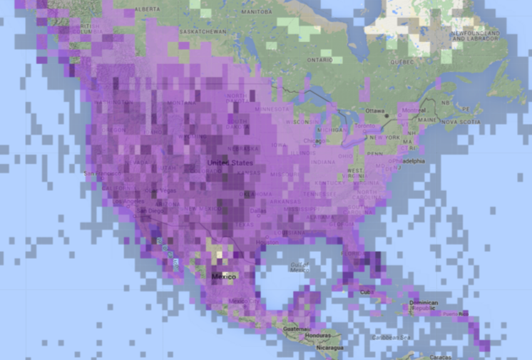  On the proliferation of Eurasian CollaredDoves in Orange County