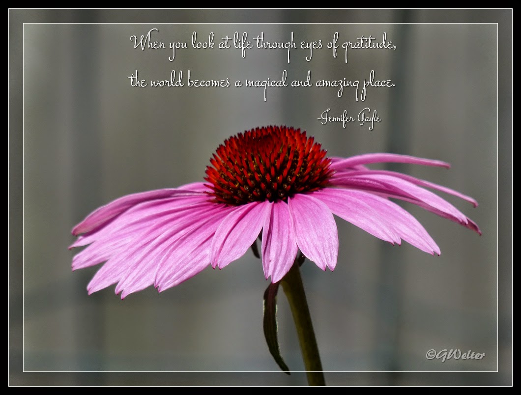 Friends are Flowers in the Garden of Life Life As I See It