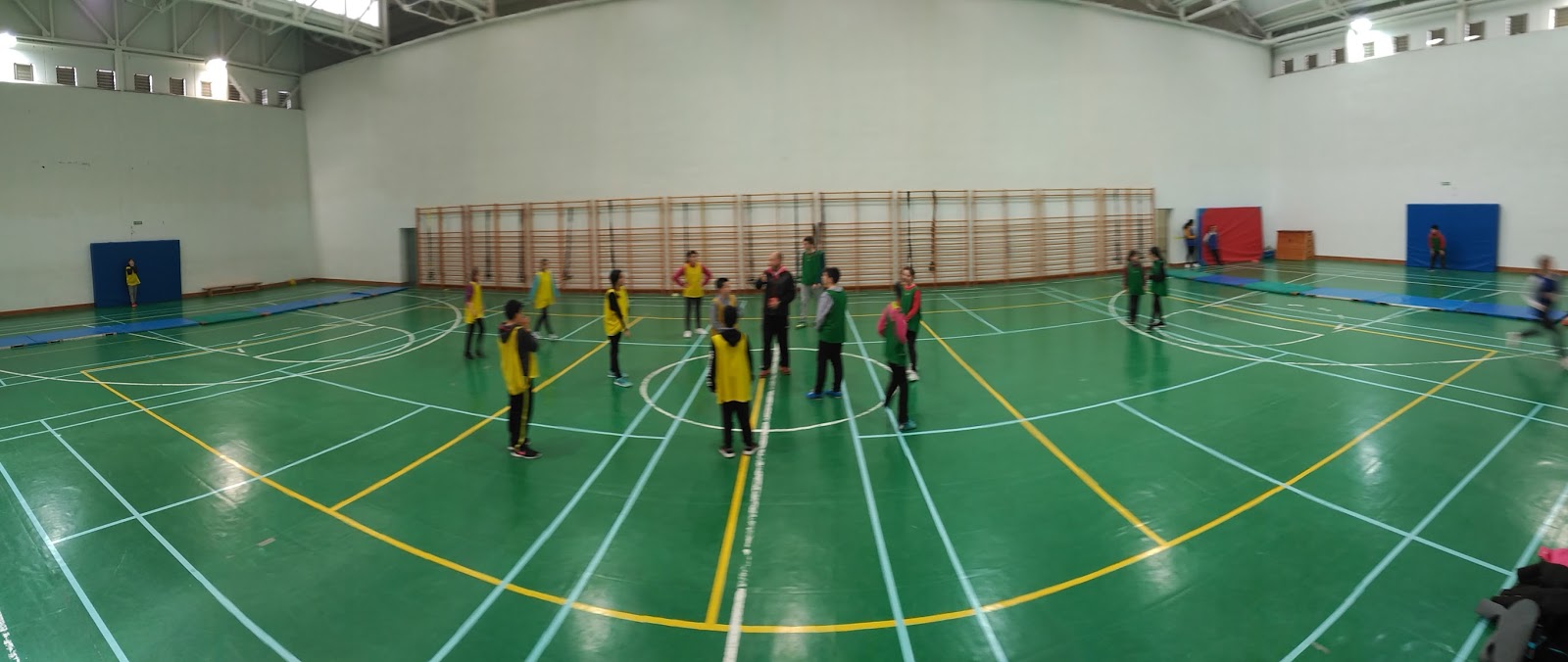 Physical Education (PE) practices Handball session