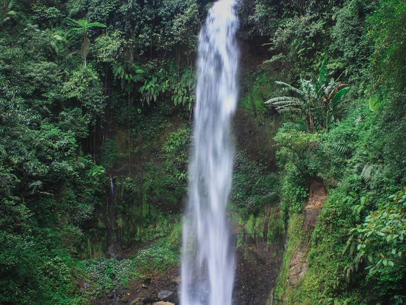 Curug Gado Bangkong Curug Gado Bangkong Tempat Wisata di Tasikmalaya Terbaru