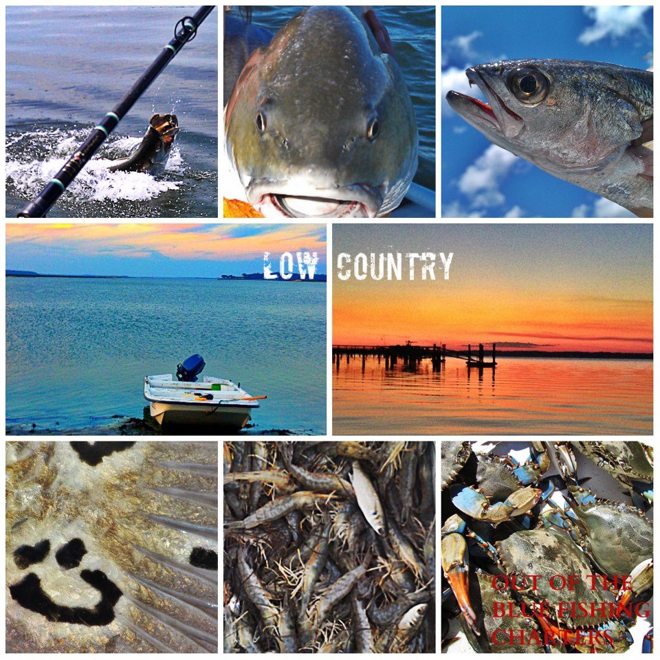 Lowcountry outdoors Lowcountry Saltwater Fishing Report 2/19/13