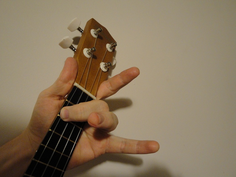 Guitar wouldn't fit in my suitcase Lesson 1 Your first two chords, C