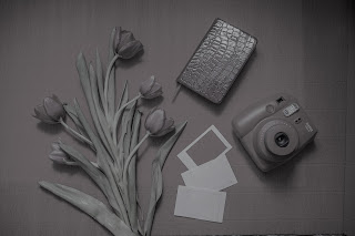 polaroid and tulips - pixabay - swetlanafriesen Polaroid and Tulips photo