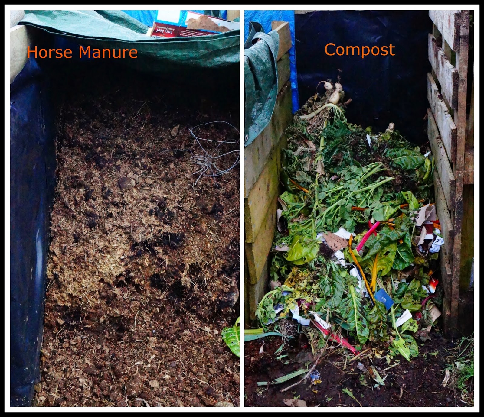 horse manure and compost bins - 'growourown.blogspot.com' ~ allotment blog