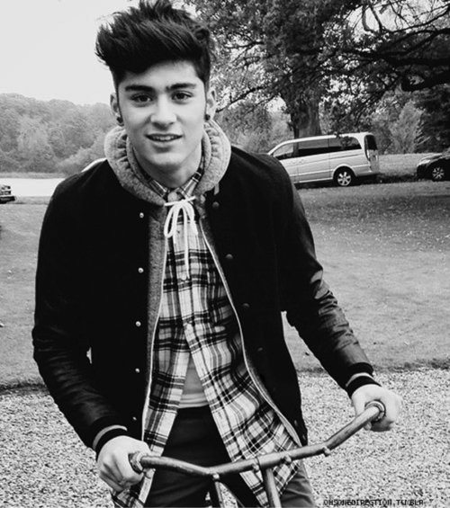 Directioner