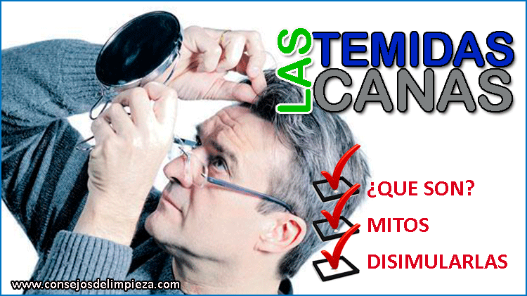 No canas salgan te para hacer q que
