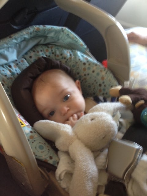 The Adventures of Sticky Bean