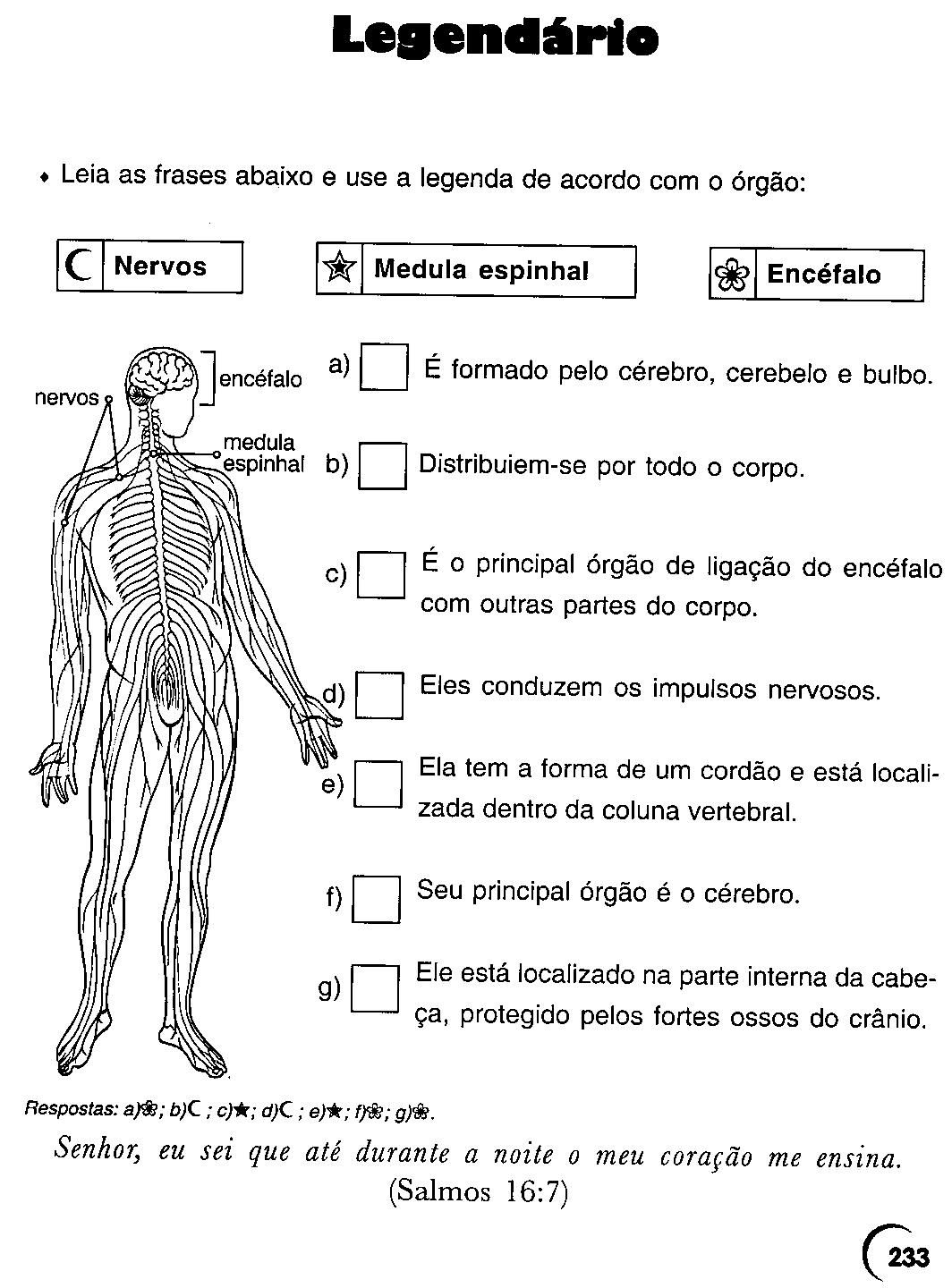 Caça-palavras: Corpo Humano - Sistema Nervoso - COM RESPOSTAS 