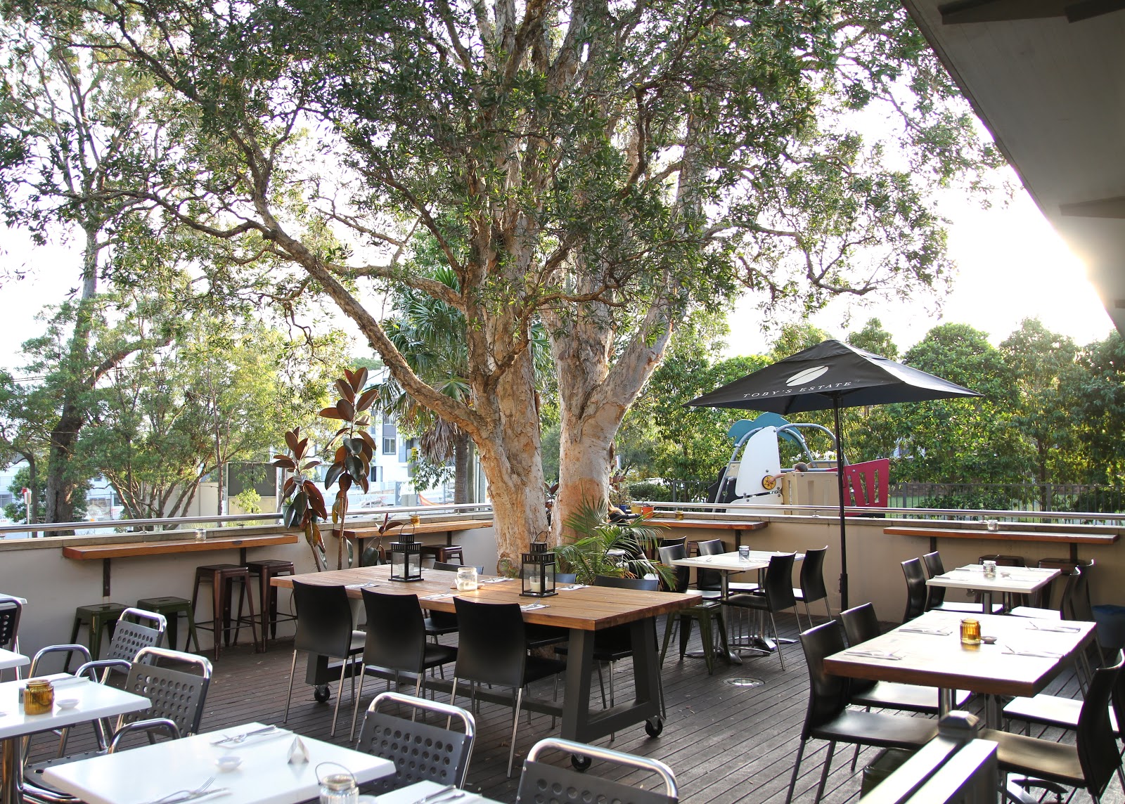 CHICACHIA STAIN CAFE LANE COVE