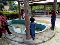 Hotel Review Swiss Garden Damai Laut