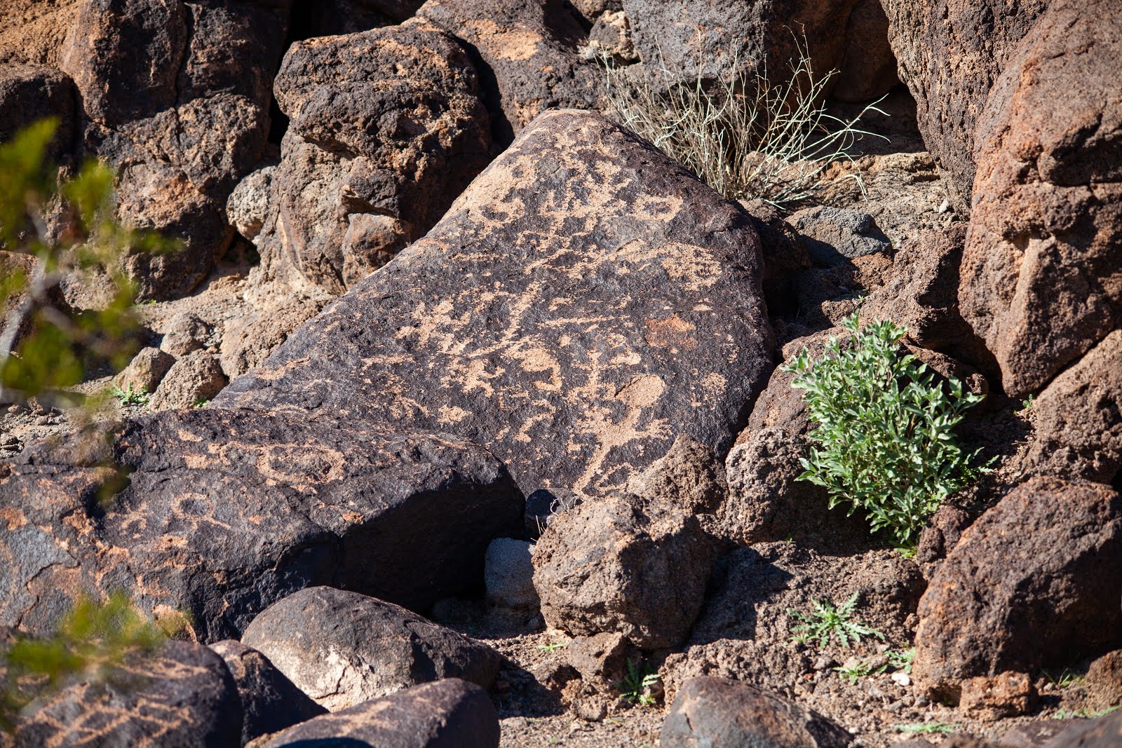 Walking Arizona Painted Rock Petroglyphs Site, Arizona