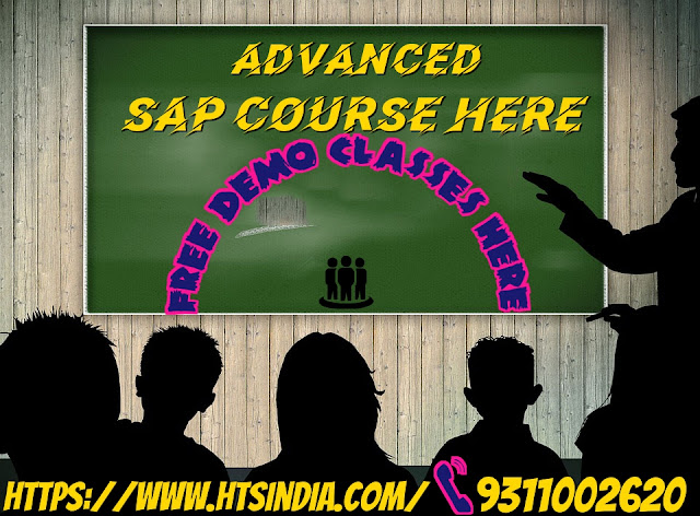 Sap Course in Gurgaon, Noida and Delhi