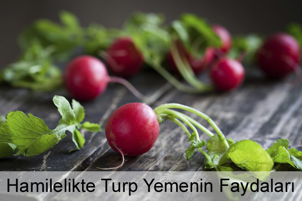 Hamilelikte Turp Yemenin Faydaları Hamilelikte Turp Yemenin Faydaları