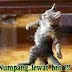 Kumpulan Gambar dan Koleksi Foto lucu Numpang Lewat Terbaru