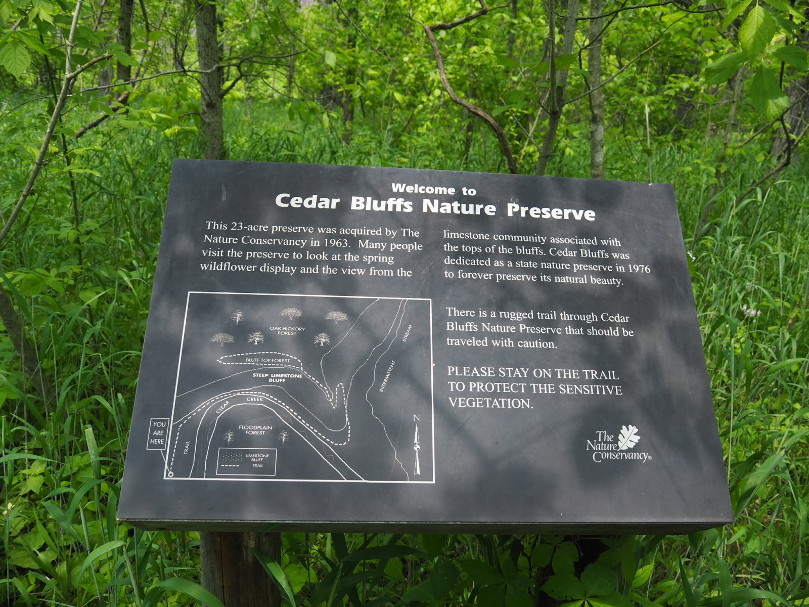 Bloomington, IN Cedar Bluff Nature Preserve (halfway up) Explore