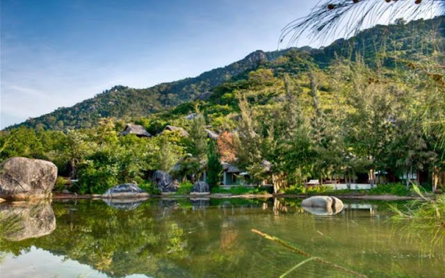 [Image: an-lam-ninh-van-bay2%2B-%2BCopy.jpg]