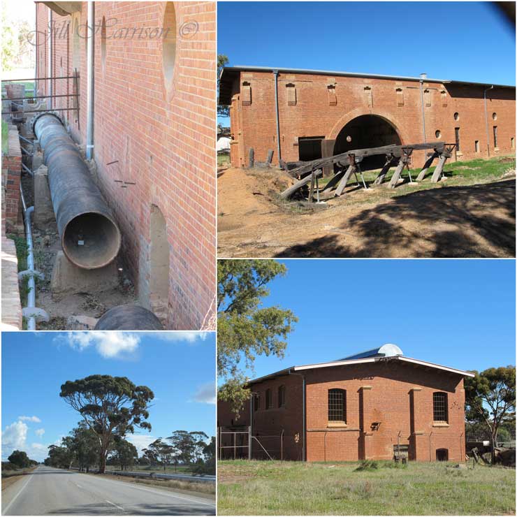 Life Images by Jill The need for water on the goldfields Perth to