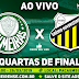 Jogo Palmeiras x Novorizontino Ao Vivo 26/03/2019