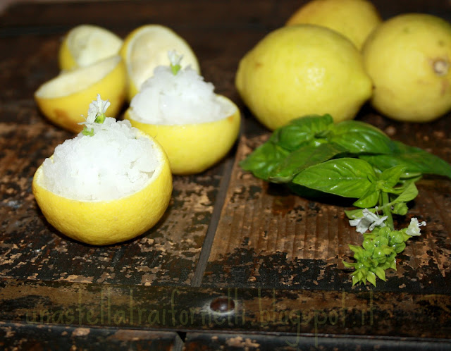 granita al limone aromatizzata al basilico