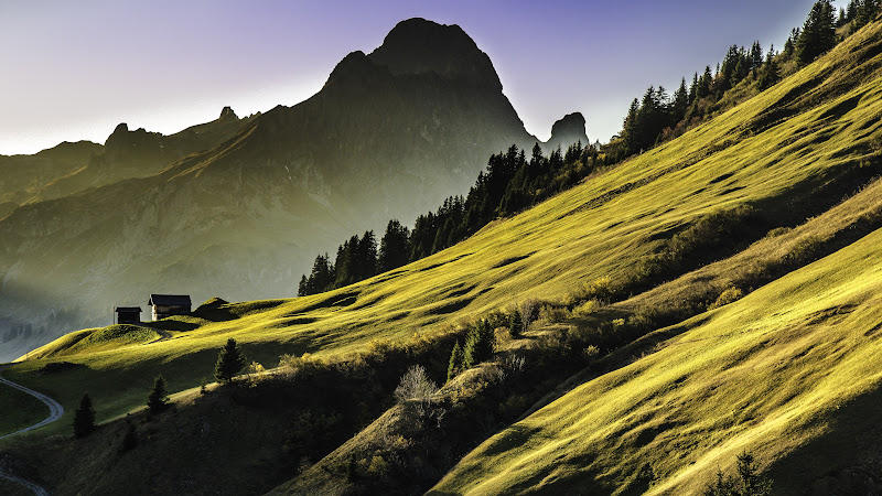 Alpine Landscape