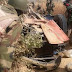 2 Soldiers Killed, Others Injured As Fulani-herdsmen Ambush Nigerian Military In Benue