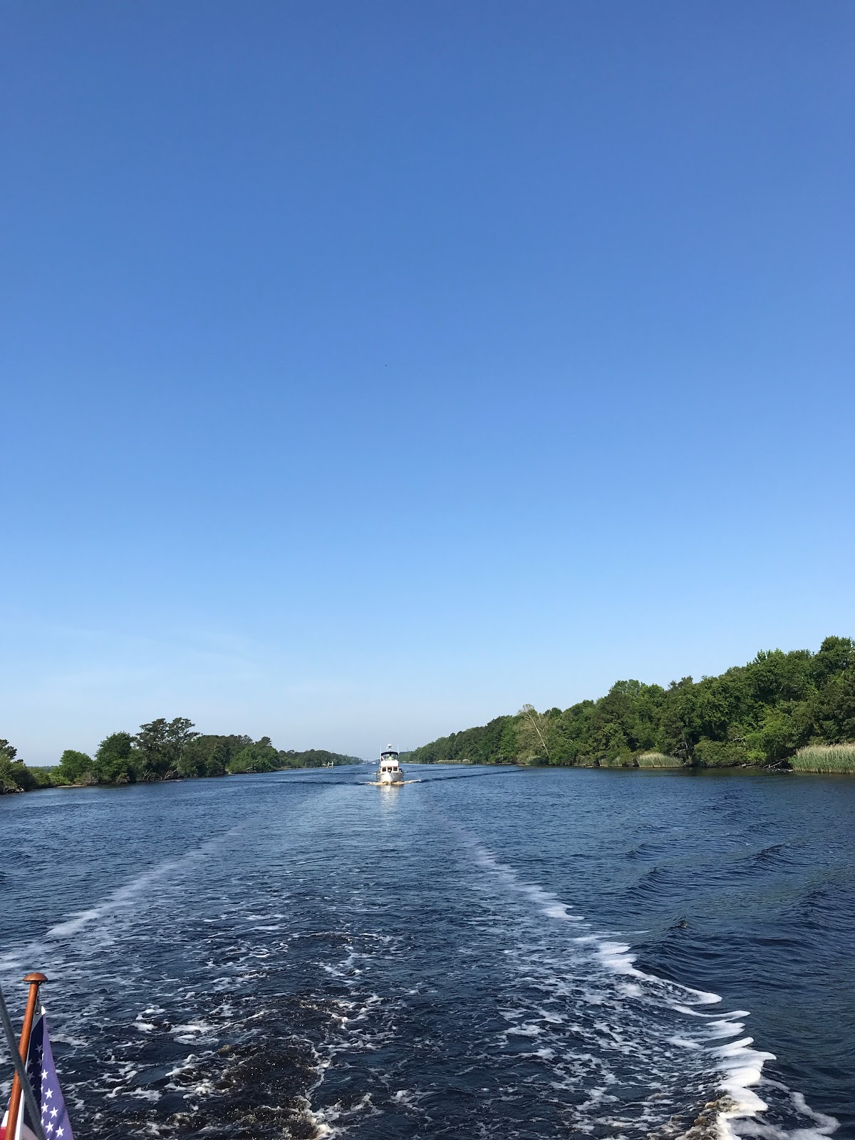 Viridian News & Views Alligator River,NC