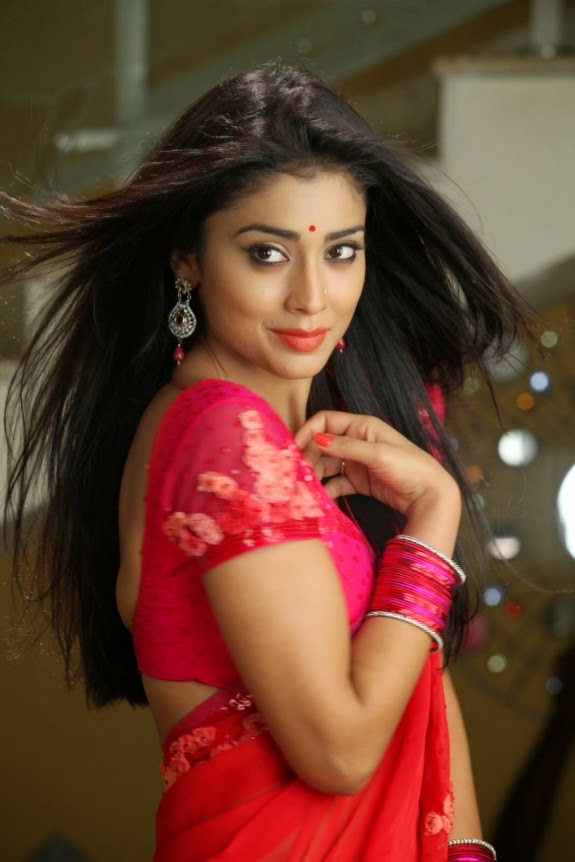 Beautiful Indian Actresses Gallery Sexy Shriya Saran In Red Saree Too Hot Shriya 