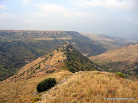 Gamla Natuurreservaat in Golan gebergte (Golanhoogvlakte)