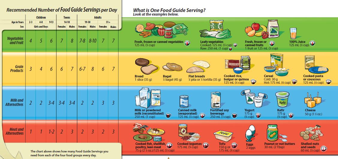 Nutrition and Wellness Canada's Food Guide