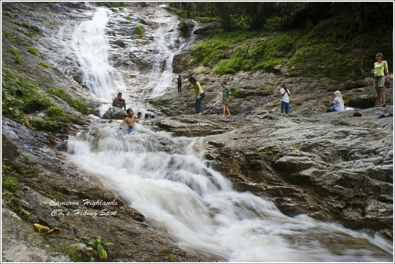 Transport & Tours Services: Package Cameron Highland Tour