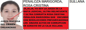 ASOCIACION CIVIL "JUSTICIA SIN CORRUPCION" DEL PERU