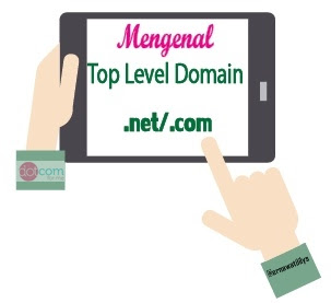 Keunggulan Menggunakan Top Level Domain dot net dot com
