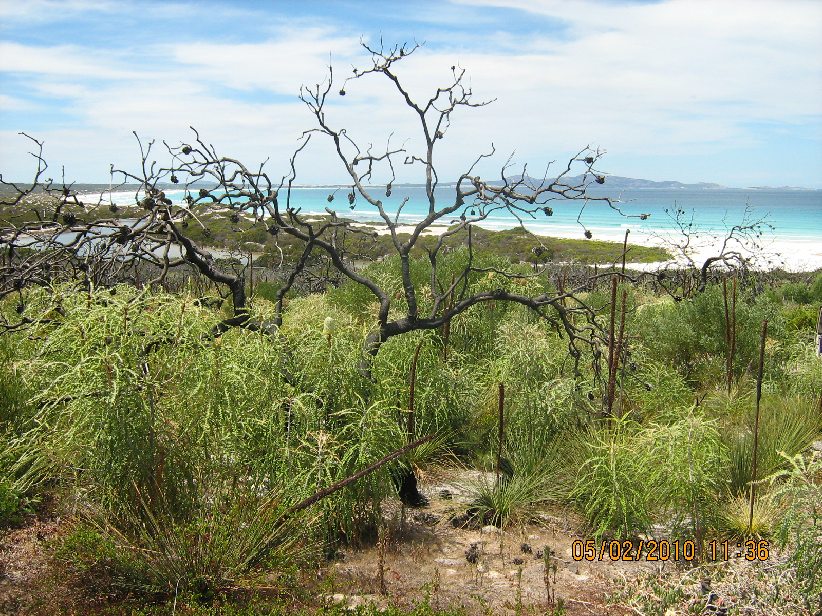 CAMPING EQUIPMENT and SHOPPING Thomas River Esperance
