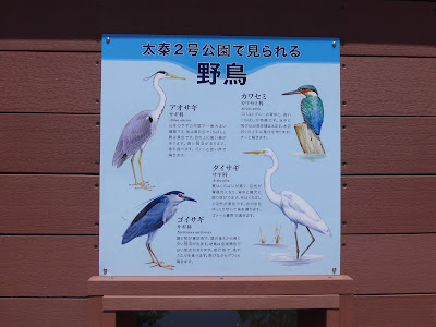 太秦2号公園で見られる野鳥