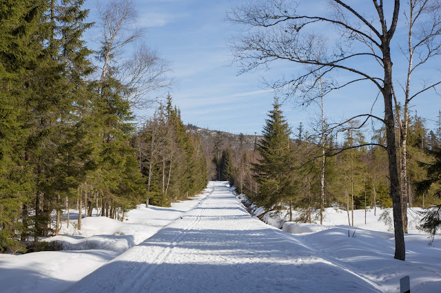 fimbulvetr hikr schneeschuhe - wanderung bayerischer wald - www.bayerwald-wandern.com